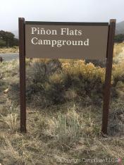 Piñon Flats Campground Great Sand Dunes NP