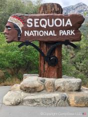 Sequoia and Kings Canyon National Parks