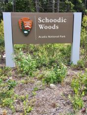 Schoodic Woods Campground Acadia NP