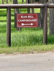 Blue Bell Campground, Custer SP